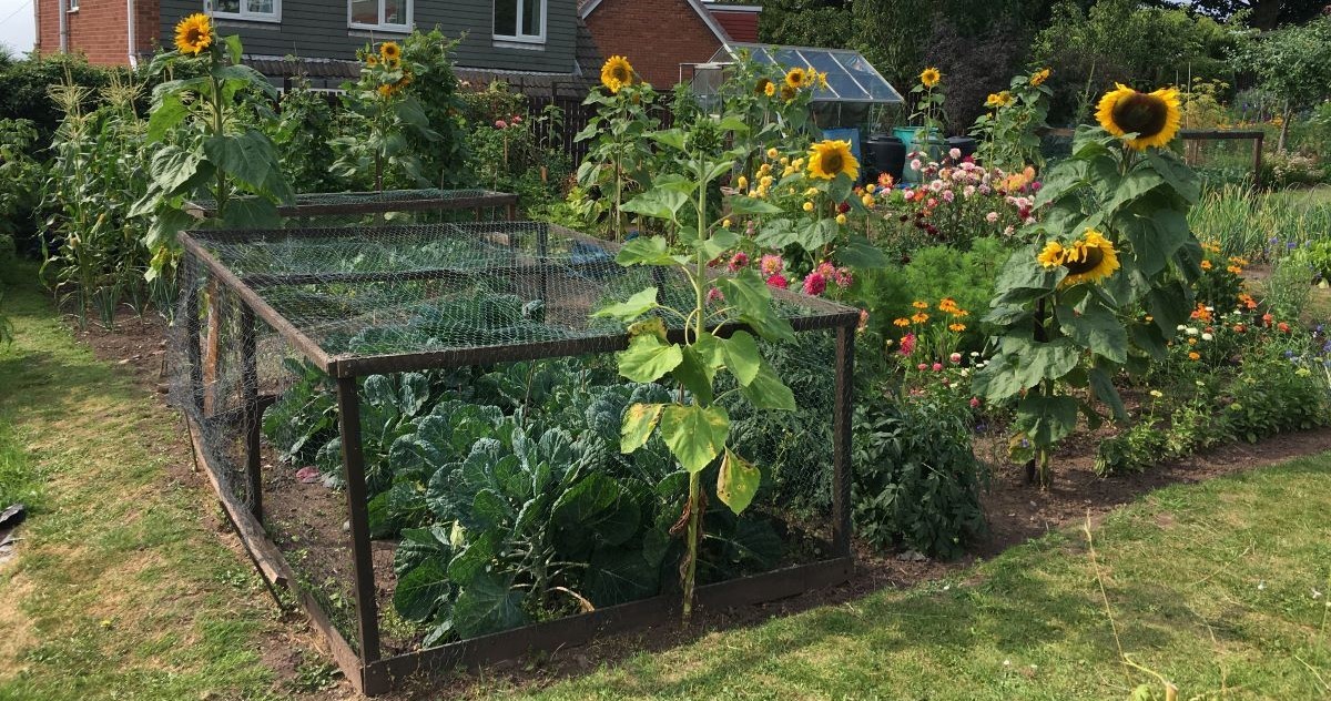 Allotments